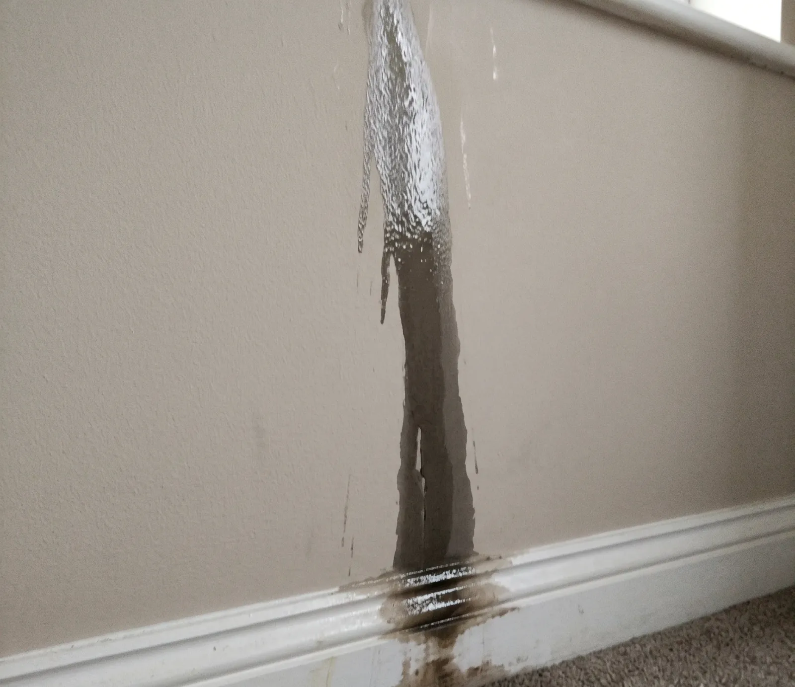 Roof Leak water damage in Fort Lauderdale, FL